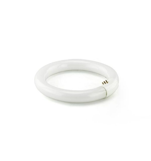 TUBO FLUORESCENTE CIRCULAR PARA LAMPARA LUPA CON PINZA